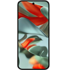 Google Pixel 9 Pro XL 16/256Gb US hazel (ореховый)