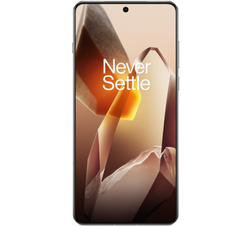 OnePlus 13 12/256Gb arctic dawn (белый) IND