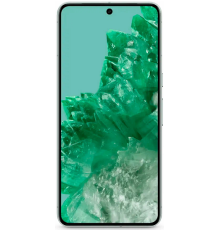 Google Pixel 8 Pro 12/128Gb US mint (зеленый)