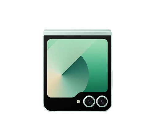 Samsung Galaxy Z Flip6 12/256Gb мятный EAC Samsung Galaxy Z Flip6 12/256Gb мятный EAC
