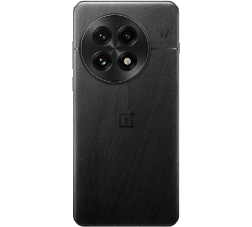 OnePlus 13 12/256Gb black eclipse (черный) IND