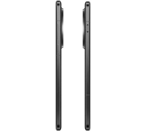 OnePlus 13 12/256Gb black eclipse (черный) IND